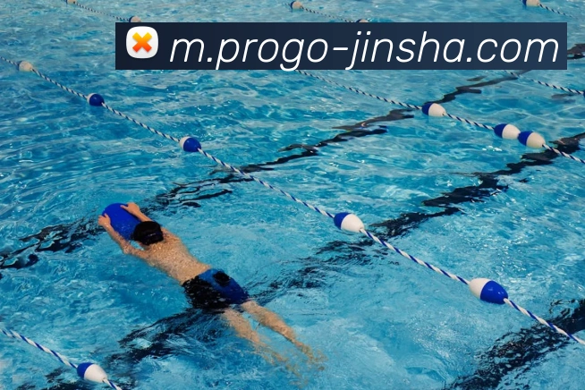 澳门金沙官网平台生态图